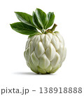 Fresh Cherimoya Fruit with Green Leaves Isolated on White Background for Healthy Recipes Fresh Cherimoya Fruit with Green Leaves Isolated on White Background for Healthy Recipes 138918888