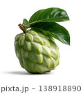 Fresh green cherimoya fruit with glossy leaves isolated on white background Fresh green cherimoya fruit with glossy leaves isolated on white background 138918890