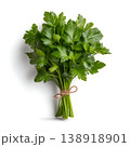 Fresh Green Parsley Bunch Decorated With Twine on White Background for Culinary Uses Fresh Green Parsley Bunch Decorated With Twine on White Background for Culinary Uses 138918901