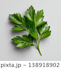 Fresh Green Parsley Leaves on Gray Background for Culinary and Health Concepts Fresh Green Parsley Leaves on Gray Background for Culinary and Health Concepts 138918902