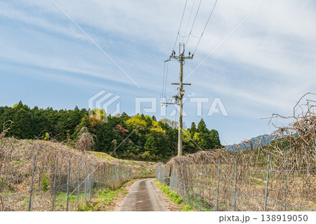 大津市仰木の風景　滋賀県 138919050