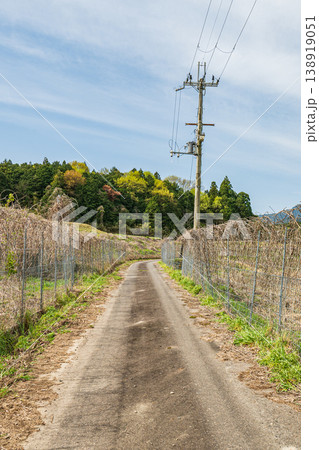 田園の中を通る道 滋賀県大津市仰木 田園の中を通る道 滋賀県大津市仰木 138919051