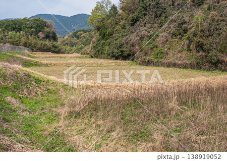 大津市仰木の棚田風景　滋賀県 138919052