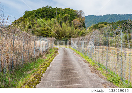 田園の中を通る道　滋賀県大津市仰木 138919056