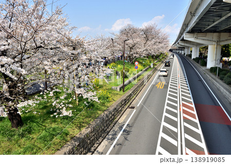 桜が見ごろの隅田川沿いを走る墨堤通りと首都高速 138919085