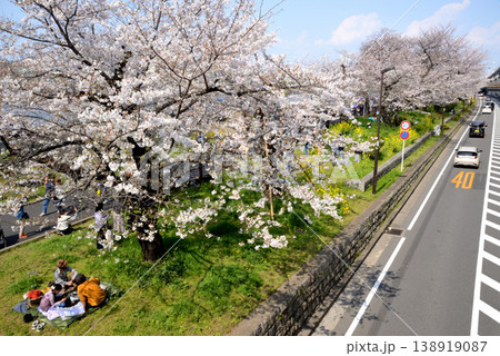 桜が見ごろの隅田川沿いを走る墨堤通りと首都高速 桜が見ごろの隅田川沿いを走る墨堤通りと首都高速 138919087