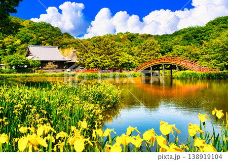 春の金沢八景の称名寺庭園の絶景 春の金沢八景の称名寺庭園の絶景 138919104