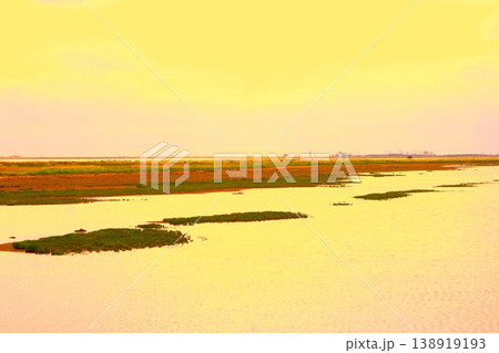 夕暮れの道立野付風連自然公園の風景　野付半島トドワラ 138919193