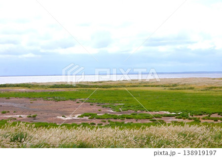 道立野付風連自然公園の風景　野付半島トドワラ 138919197