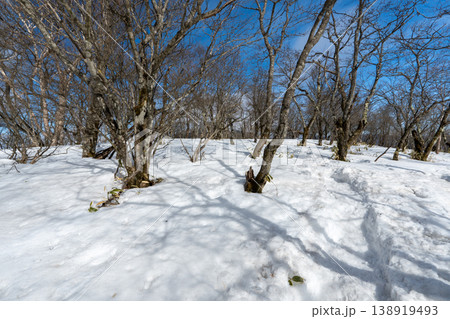 雪山の赤城山の登山ルートとその周辺 雪山の赤城山の登山ルートとその周辺 138919493