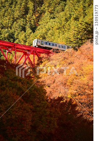 JR釜石線鬼ヶ沢橋梁とキハ100系ディーゼルカー JR釜石線鬼ヶ沢橋梁とキハ100系ディーゼルカー 138919773