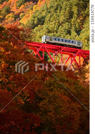 JR釜石線鬼ヶ沢橋梁とキハ100系ディーゼルカー JR釜石線鬼ヶ沢橋梁とキハ100系ディーゼルカー 138919776