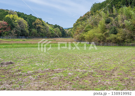 大津市仰木の棚田風景 滋賀県 大津市仰木の棚田風景 滋賀県 138919992