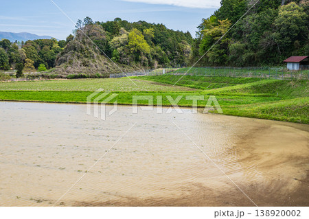 大津市仰木の棚田風景　滋賀県 138920002