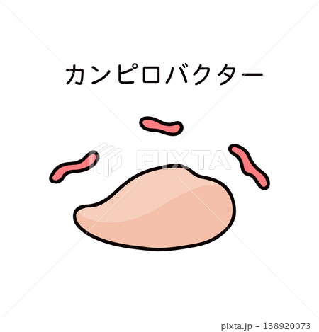 生の鶏むね肉とカンピロバクターのイラスト 生の鶏むね肉とカンピロバクターのイラスト 138920073