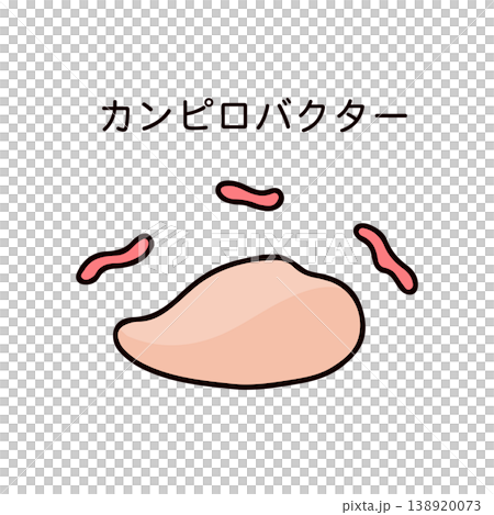生の鶏むね肉とカンピロバクターのイラスト 生の鶏むね肉とカンピロバクターのイラスト 138920073