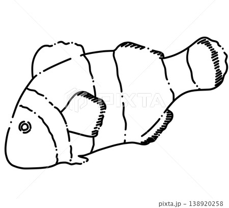 とぎれた線のゆるいクマノミの線画イラスト 138920258