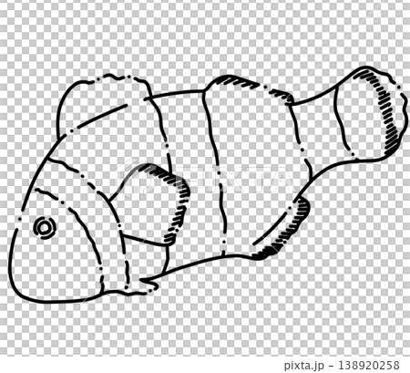 とぎれた線のゆるいクマノミの線画イラスト 138920258