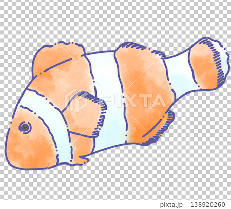 A loosely drawn clownfish illustration with broken lines. A loosely drawn clownfish illustration with broken lines. 138920260