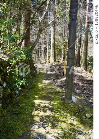 山道を歩く 山道を歩く 138920446