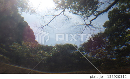 水中写真 水中写真 138920512