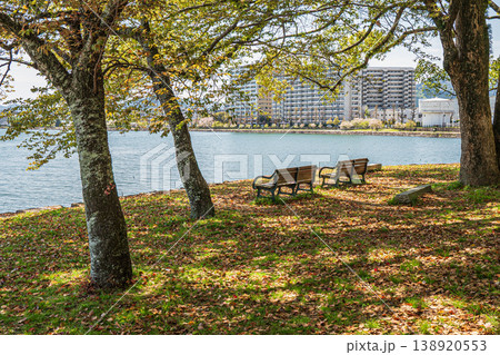 膳所城跡公園 滋賀県大津市 膳所城跡公園 滋賀県大津市 138920553