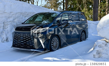 雪に埋もれたLEXUS 雪に埋もれたLEXUS 138920651