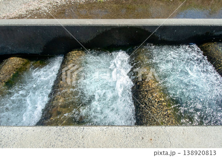 東京都八王子市都立陵南公園内、南浅川の階段式魚道 138920813