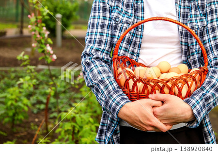 Close-up of a farmer holding a wicker basket full of fresh brown chicken eggs in the garden. Organic farming, poultry breeding, and healthy food harvest concept 138920840