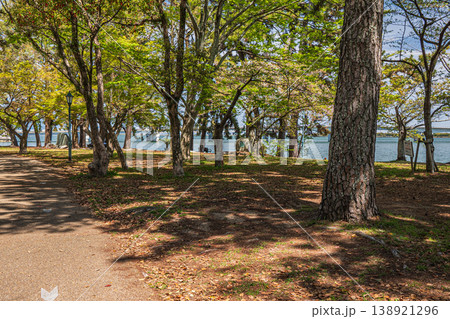 膳所城跡公園　滋賀県大津市 138921296