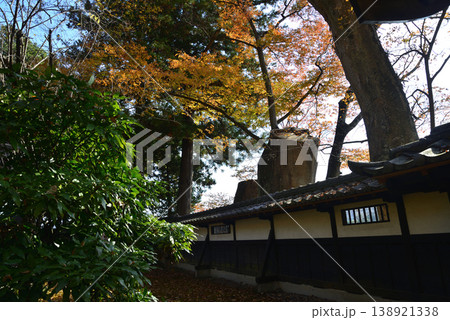 西念寺の紅葉 2025-11-16 #61 西念寺の紅葉 2025-11-16 #61 138921338