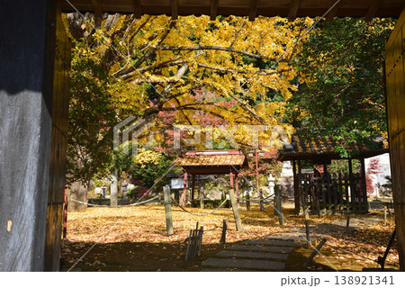 西念寺の紅葉 2025-11-16 #64 西念寺の紅葉 2025-11-16 #64 138921341