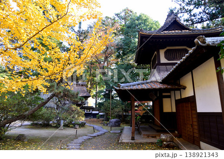 西念寺の紅葉 2025-11-16 #66 西念寺の紅葉 2025-11-16 #66 138921343