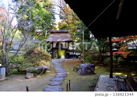 西念寺の紅葉 2025-11-16 #67 西念寺の紅葉 2025-11-16 #67 138921344