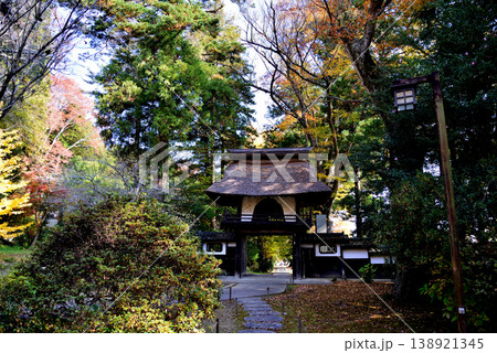 西念寺の紅葉 2025-11-16 #68 西念寺の紅葉 2025-11-16 #68 138921345