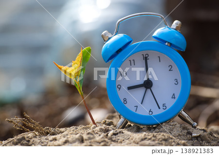Alarm Clock Next To Seedling Growing From Soil Symbolizing Time, Growth And Environmental Renewal Alarm Clock Next To Seedling Growing From Soil Symbolizing Time, Growth And Environmental Renewal 138921383