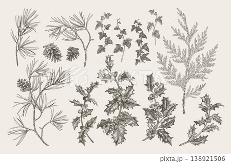 Hand-drawn vintage botanical set of winter flora 138921506