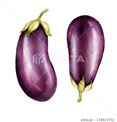 Hand-drawn illustration of two ripe, dark purple eggplants isolated on white background Hand-drawn illustration of two ripe, dark purple eggplants isolated on white background 138921552