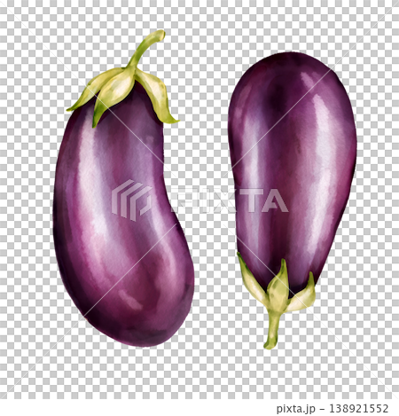 Hand-drawn illustration of two ripe, dark purple eggplants isolated on white background Hand-drawn illustration of two ripe, dark purple eggplants isolated on white background 138921552