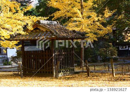 西念寺の紅葉 2025-11-16 #81 西念寺の紅葉 2025-11-16 #81 138921627
