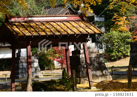 西念寺の紅葉 2025-11-16 #85 西念寺の紅葉 2025-11-16 #85 138921631