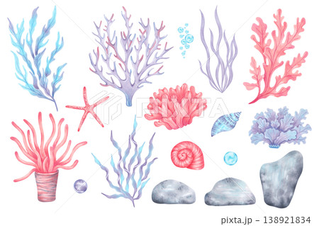 Set of marine elements shells, starfish, corals, seaweed, stones and bubbles. Underwater world of the seabed. Hand drawn watercolor illustration. Clipart for childrens design, tourism and travel Set of marine elements shells, starfish, corals, seaweed, stones and bubbles. Underwater world of the seabed. Hand drawn watercolor illustration. Clipart for childrens design, tourism and travel 138921834