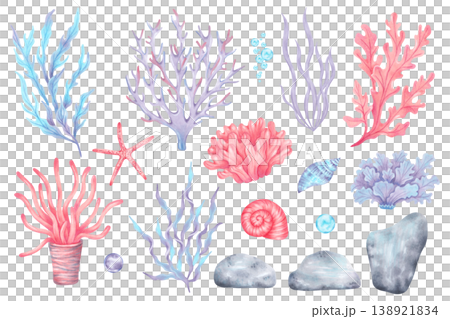 Set of marine elements shells, starfish, corals, seaweed, stones and bubbles. Underwater world of the seabed. Hand drawn watercolor illustration. Clipart for childrens design, tourism and travel Set of marine elements shells, starfish, corals, seaweed, stones and bubbles. Underwater world of the seabed. Hand drawn watercolor illustration. Clipart for childrens design, tourism and travel 138921834