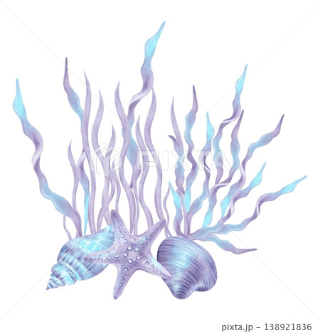 Composition with seaweed, starfish and shell. Marine watercolor illustration with elements of the ocean floor. Hand drawn isolated art. Drawing for children's design, travel and packaging. Composition with seaweed, starfish and shell. Marine watercolor illustration with elements of the ocean floor. Hand drawn isolated art. Drawing for children's design, travel and packaging. 138921836