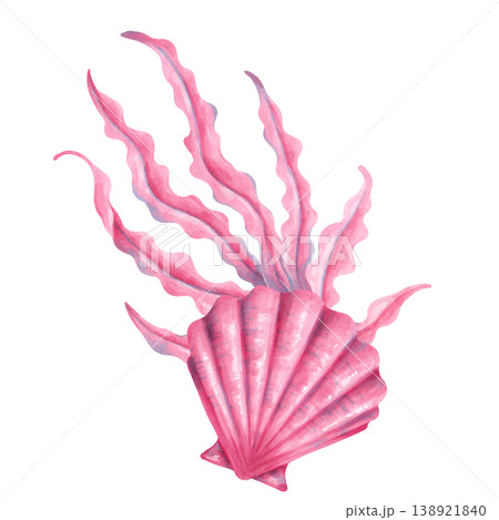 Seashell composition with seaweed. Watercolor illustration of a marine animal. Hand-drawn, isolated art. The composition is suitable for underwater and children's themes, as well as for print design 138921840