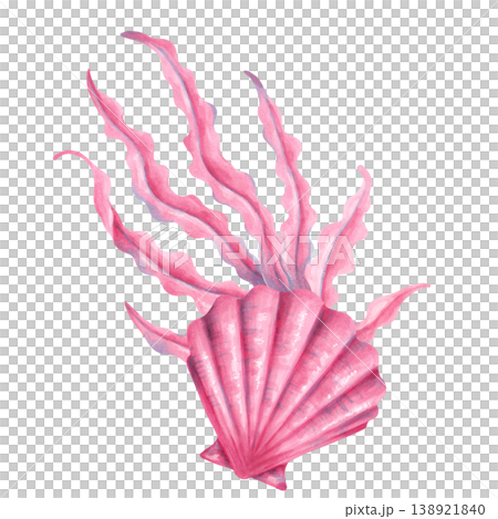 Seashell composition with seaweed. Watercolor illustration of a marine animal. Hand-drawn, isolated art. The composition is suitable for underwater and children's themes, as well as for print design 138921840