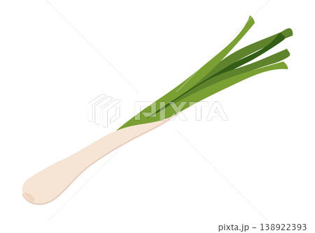 Fresh green onion. Vector graphic of a green onion with white bulb and green stalks. The clean, minimalist design versatility applications restaurant menus, food packaging, health blogs, store promo 138922393