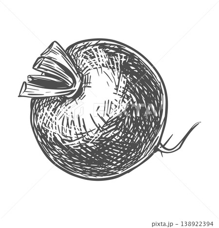 A sketch of a radish lying on a table. Vector illustration of the vegetable in an engraving style. The whole root with trimmed leaves is depicted on a white background. Hand-drawn, imitating etching. 138922394
