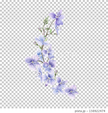 A semicircular bouquet of wild forest forget-me-nots. This isolated watercolor illustration is suitable for postcard design, textiles, nature websites, and eco-themed projects. A semicircular bouquet of wild forest forget-me-nots. This isolated watercolor illustration is suitable for postcard design, textiles, nature websites, and eco-themed projects. 138922474