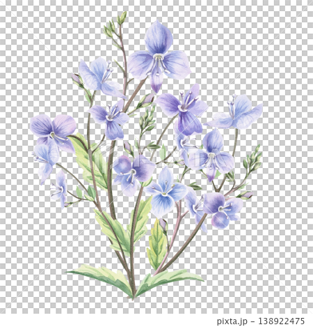 A lush bouquet of wild forest forget-me-not flowers with buds and leaves. This isolated watercolor illustration is perfect for postcards, textiles, nature websites, and eco-themed designs. A lush bouquet of wild forest forget-me-not flowers with buds and leaves. This isolated watercolor illustration is perfect for postcards, textiles, nature websites, and eco-themed designs. 138922475